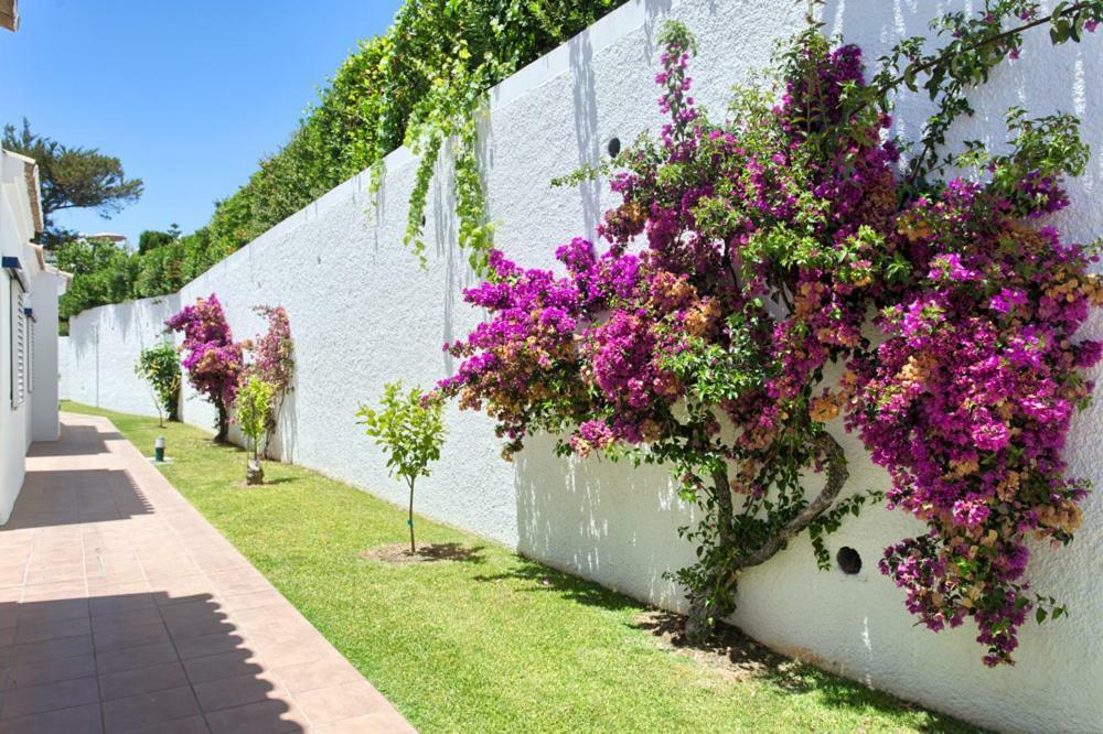 Apartament Los Dragos